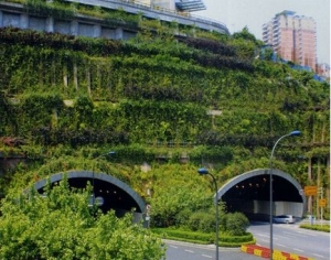 兰州雨林生态植物墙价格