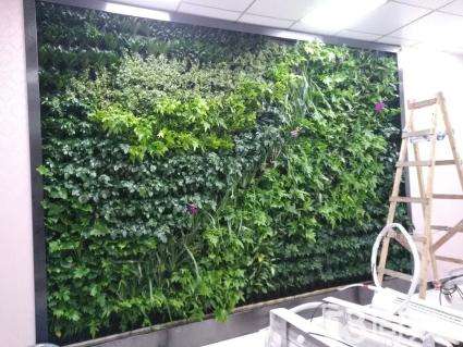 甘肃雨林生态植物墙